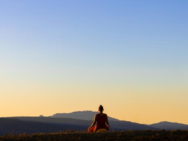 Live Mindfully meditation retreat